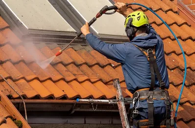 Démoussage et hydrofuge de toiture à Monestier